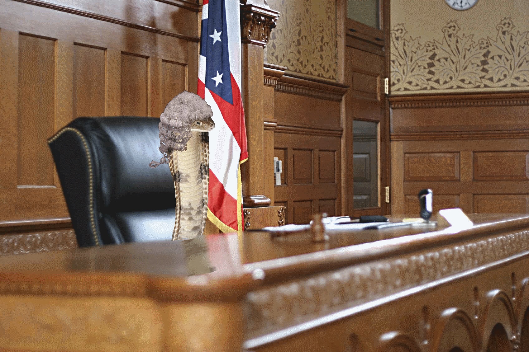 in the imageboard meme system, snek based memes are considered especially hilarious. in [s4s], the dedicated thread for investigating these hilarious memes is known as snek court. this is Sir Hissington. *GONG*