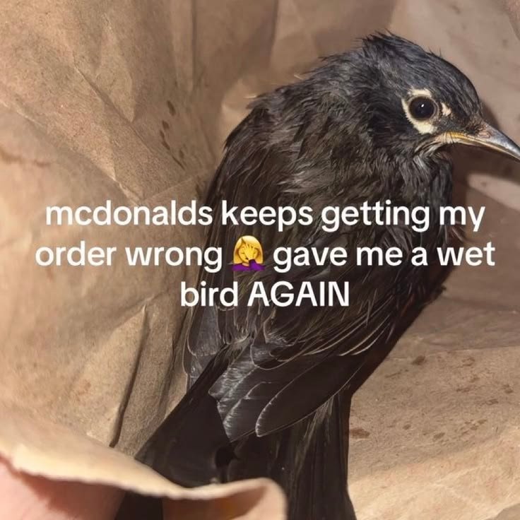 Do you find this funny?