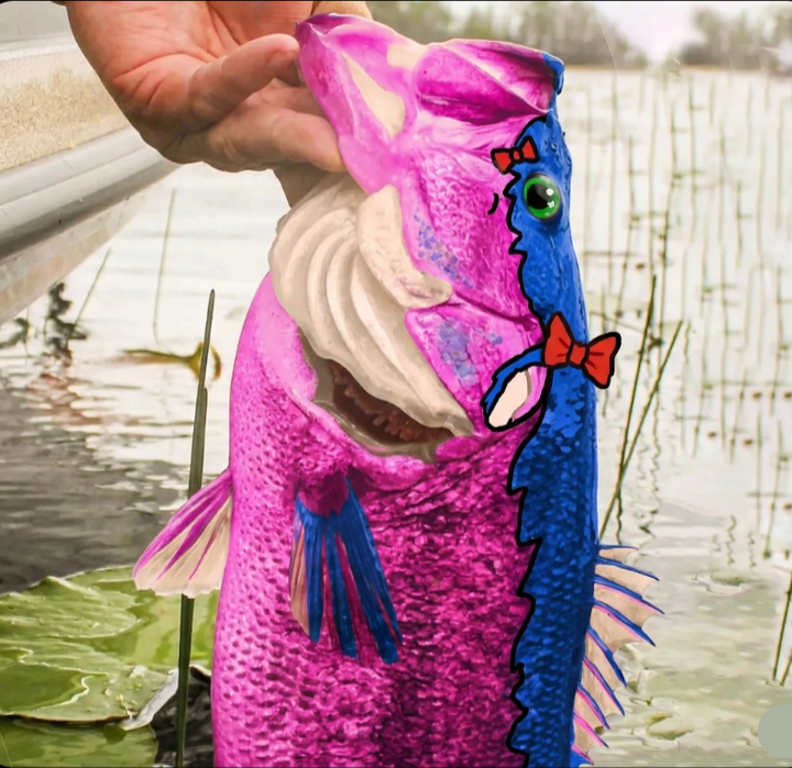bass have a I now