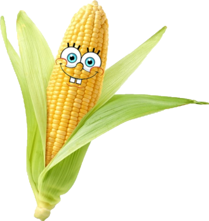 Cornbob returns