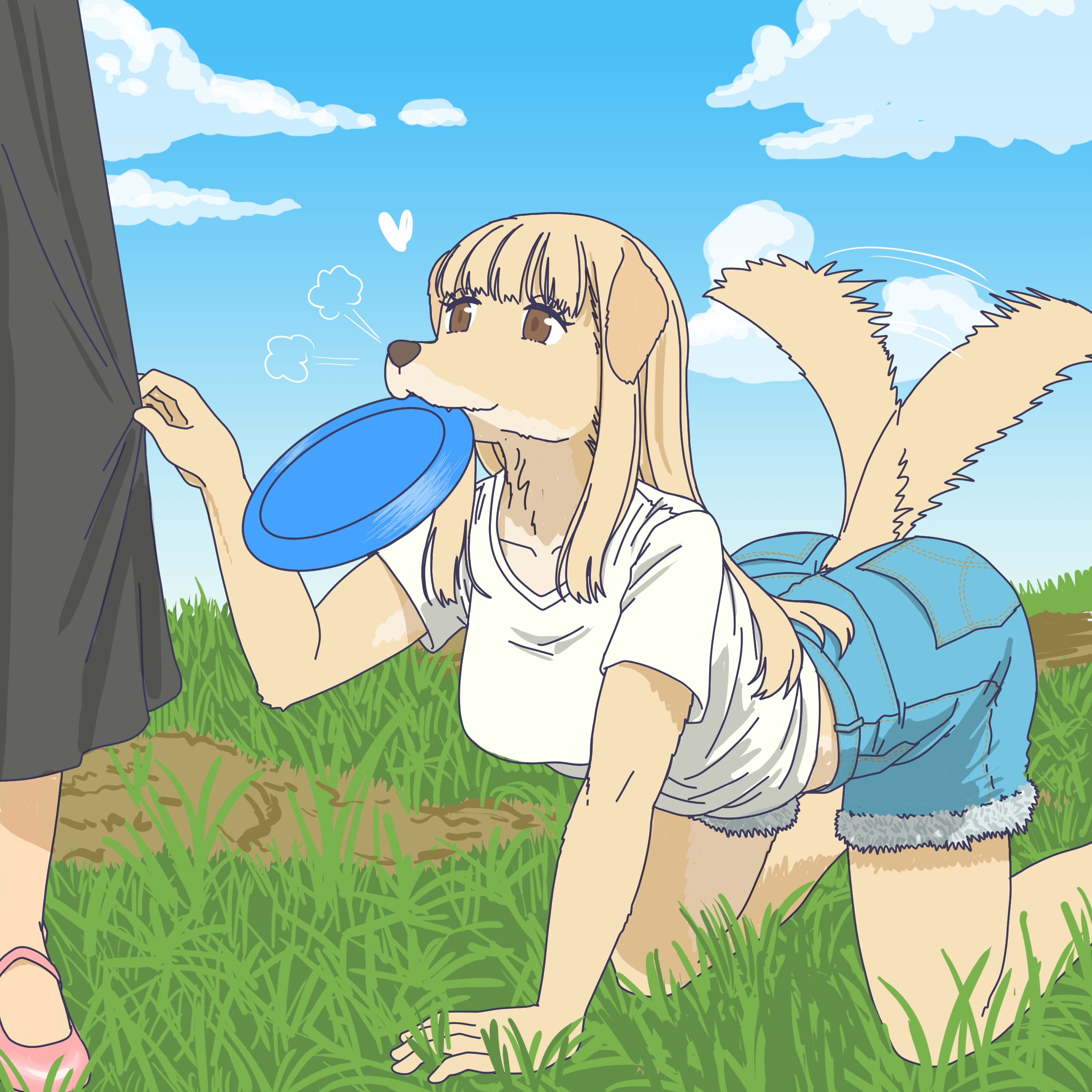 retriever wants to play